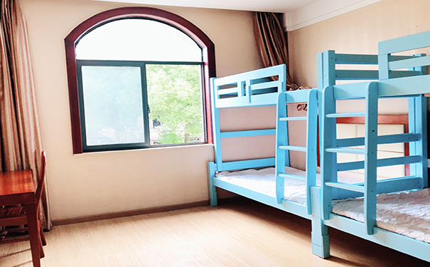 藝術生不學習文化課可以嗎？